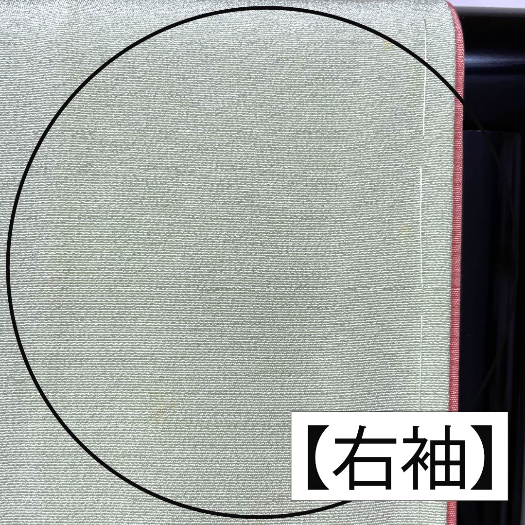 Visiting Kimono, Pure Silk, Grade B, Lined, Length 165cm, Sleeve Length 65.5cm, Light Green, Floral Design, Artist: Shuichi, Included Basting Thread, Green, Product Number: 1112006974519