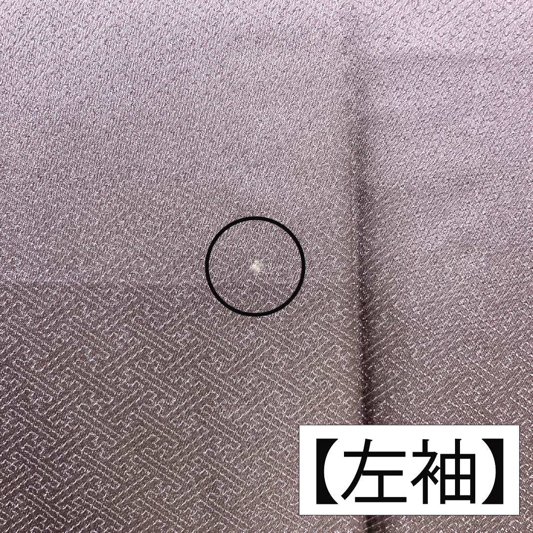 Formal kimono, pure silk, rank B, lined, length 164cm, sleeve to sleeve 64.5cm, reddish gray, Kyo-Yuzen, one crest, plants, purple tones, 1112007044420