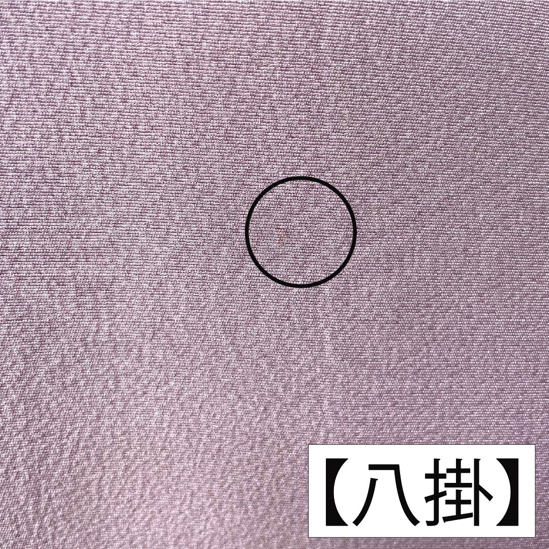 訪問着 正絹 Bランク 袷 身丈165.5cm 裄丈67.5cm 淡紅藤色(うすべにふじいろ) 付下げ 草花 紫系 1112007404520