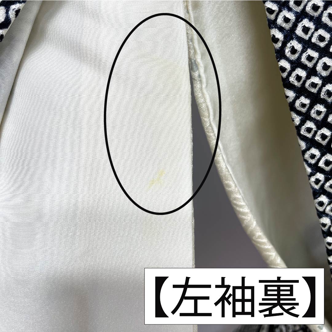 訪問着 正絹 Bランク 袷 身丈161cm 裄丈64.5cm 絞り 銀駒刺繍 重ね衿付き 紗綾形 笹 草花 モノトーン 1112007344427