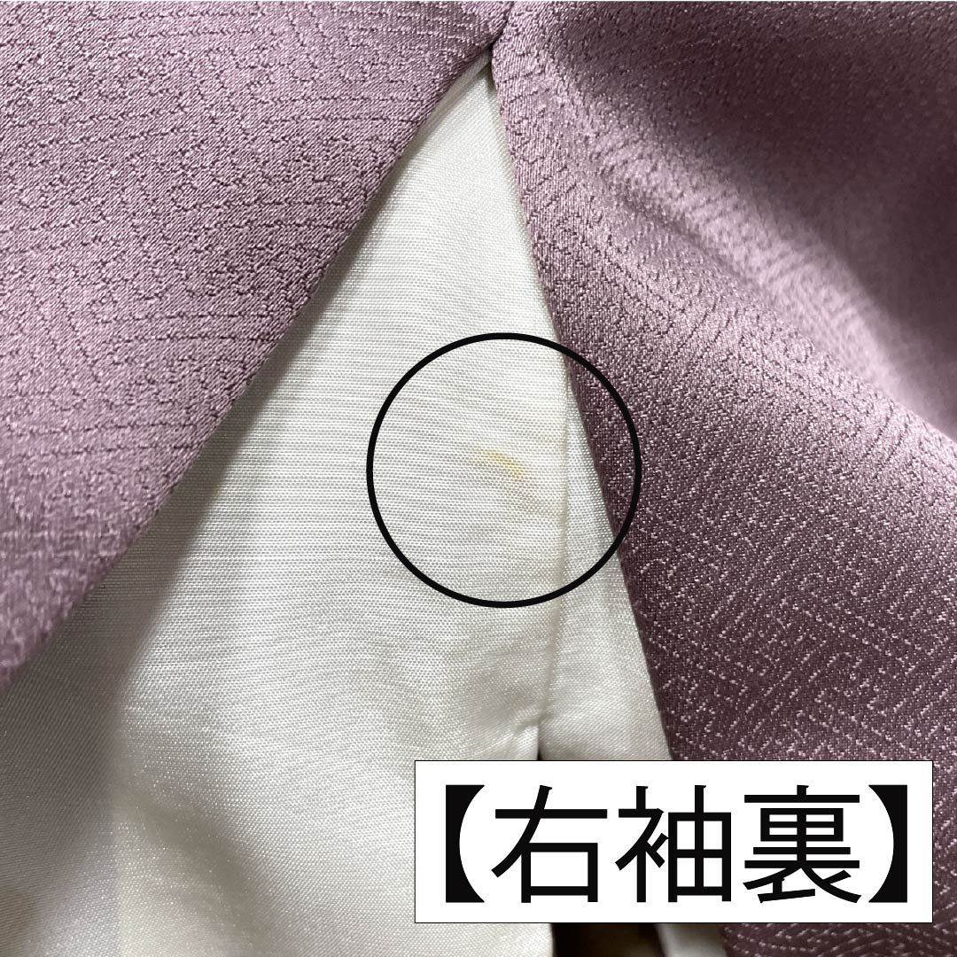 Formal kimono, pure silk, rank B, lined, length 164cm, sleeve to sleeve 64.5cm, reddish gray, Kyo-Yuzen, one crest, plants, purple tones, 1112007044420