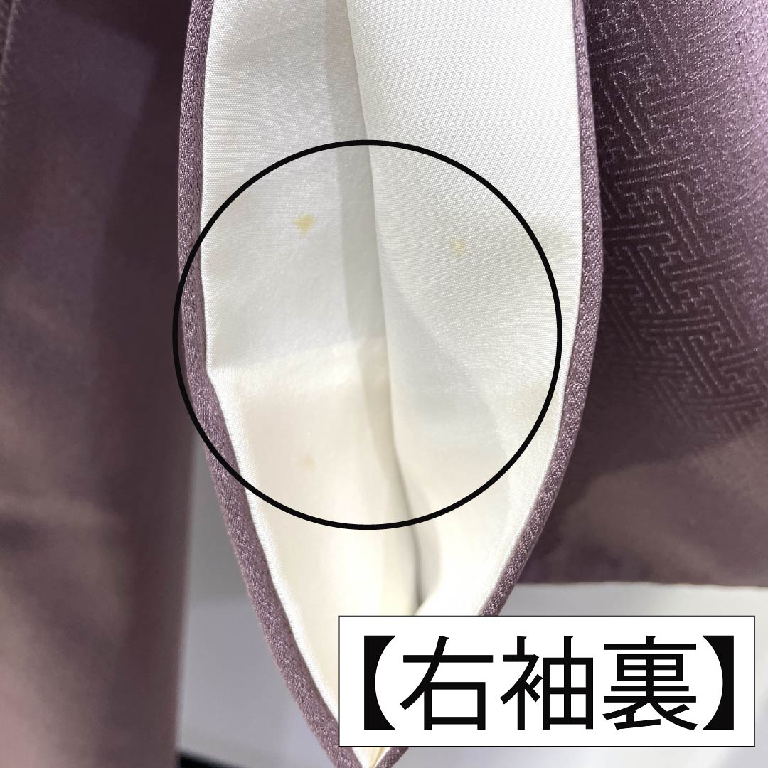 Formal kimono, pure silk, rank B, lined, length 164cm, sleeve to sleeve 64.5cm, reddish gray, Kyo-Yuzen, one crest, plants, purple tones, 1112007044420