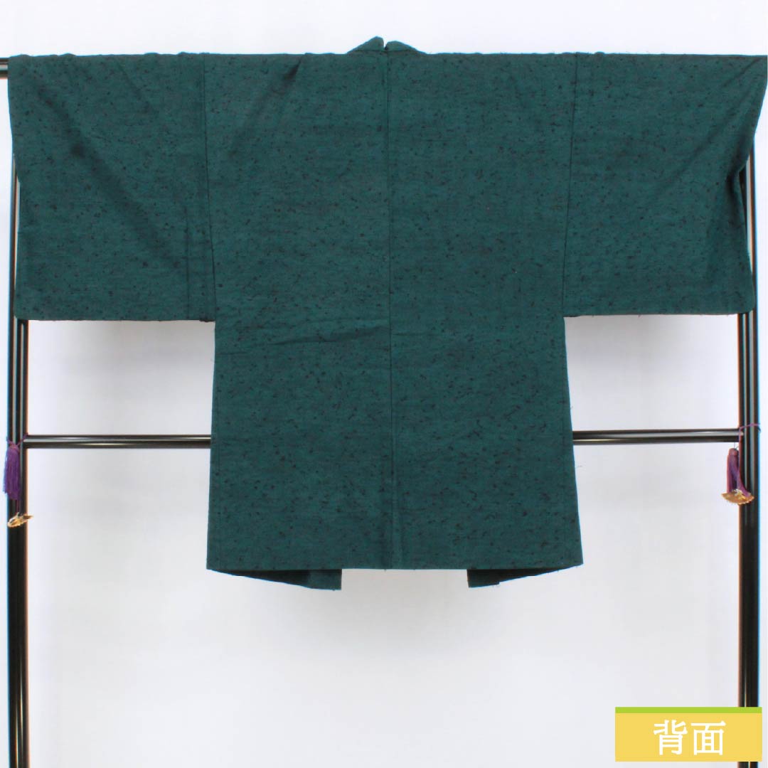 男物 正絹 Aランク 身丈91cm 裄丈70.5cm 藍鉄色(あいてついろ) ひげ紬 緑系 1119001123119