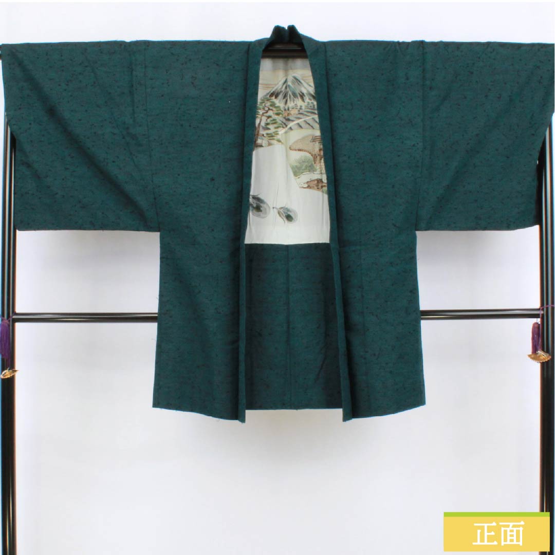 男物 正絹 Aランク 身丈91cm 裄丈70.5cm 藍鉄色(あいてついろ) ひげ紬 緑系 1119001123119