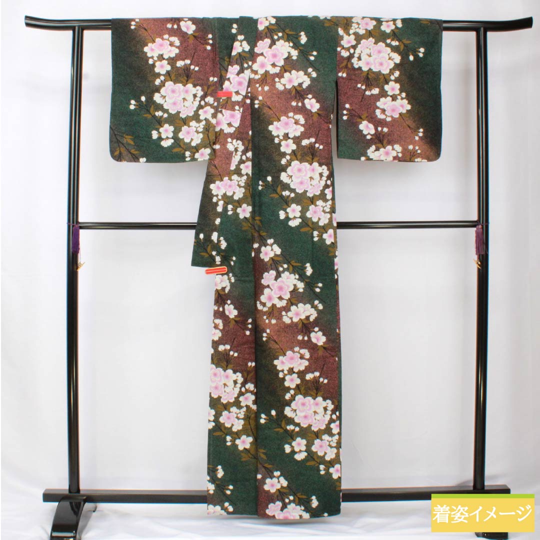 浴衣 木綿 身丈162cm 裄丈68cm Bランク 単衣 グラデーション系 萌葱色(もえぎいろ) 長春色(ちょうしゅんいろ) 桜 1118005984499