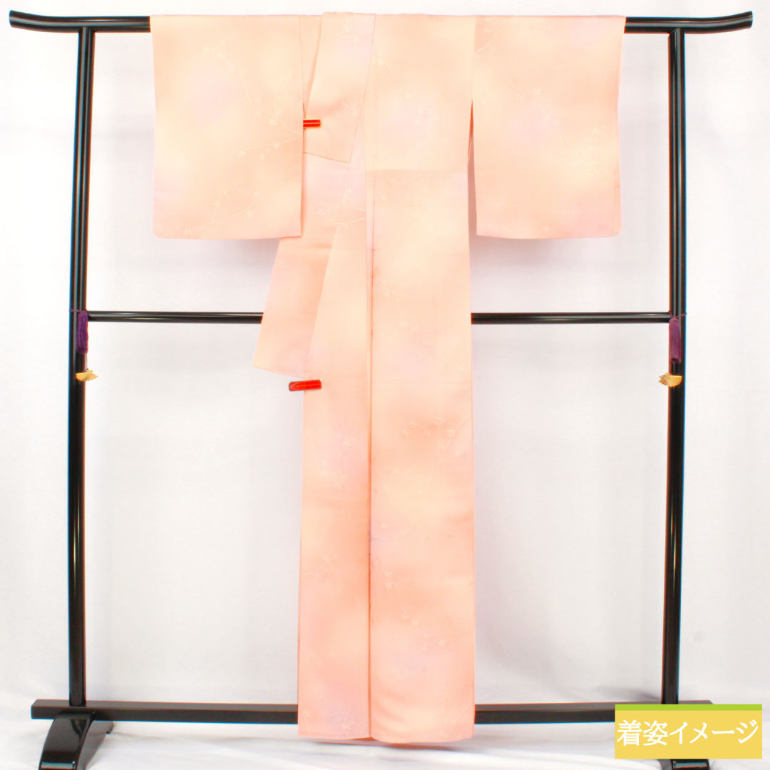 小紋 正絹 Sランク 身丈161.5cm 裄丈64.5cm 袷 ぼかし染 枝花 一つ紋 木瓜 グラデーション系 1115007672499