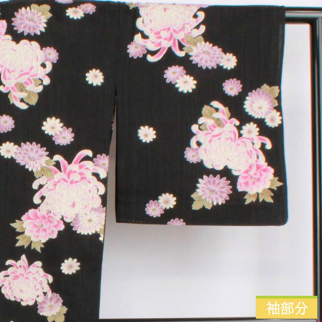 Cotton Yukata, Length 164cm, Sleeve Length 69.5cm, S Rank, Single Layer, Black, Chrysanthemum Design, 1118006282410