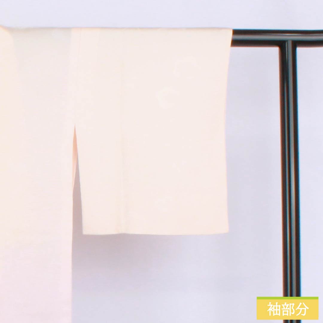 長襦袢 正絹 Sランク 身丈125.5cm 裄丈61.5cm 単衣 乙女色(おとめいろ) 白藤色(しらふじいろ) ちりめん地 梅 グラデーション系 1129000812399