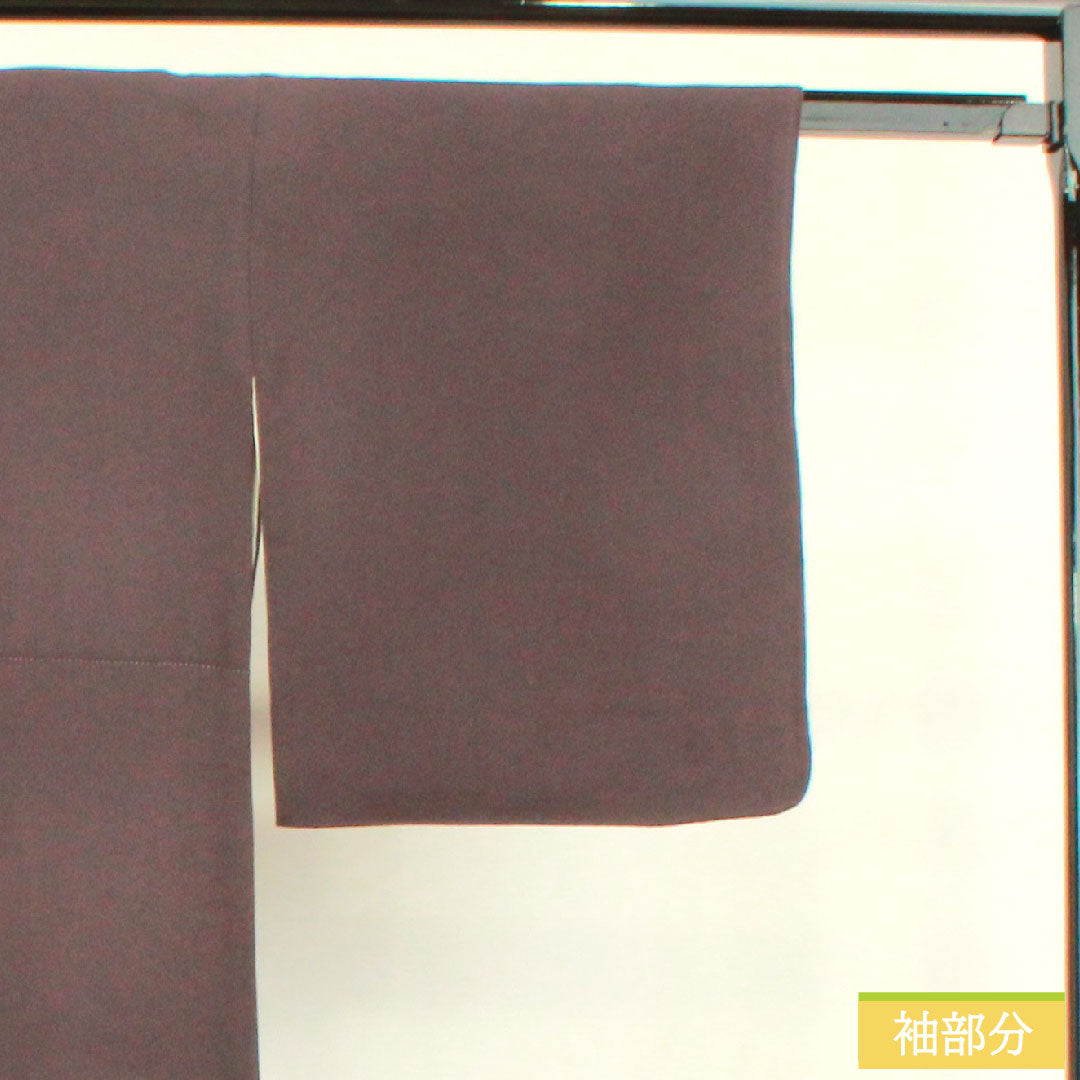 色留袖 正絹 身丈159.5cm 裄丈66cm 袷 紫烏色(しうしょく) 蘇州刺繡 吉祥文様 パールトーン加工 Aランク 紫系 1111001303320