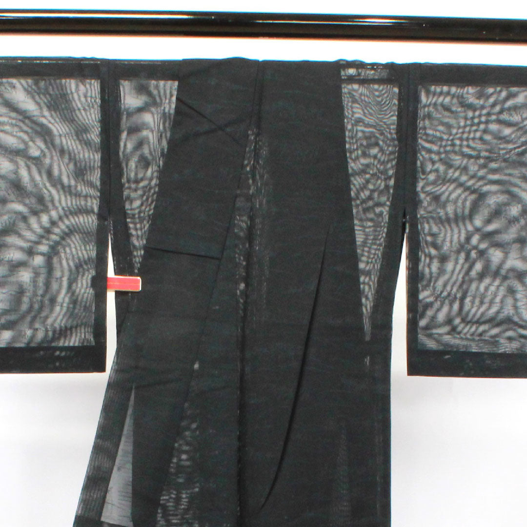 夏物 正絹 色無地 身丈159cm 裄丈64.5cm 風景模様 紗 Sランク 黒系 1132001292310