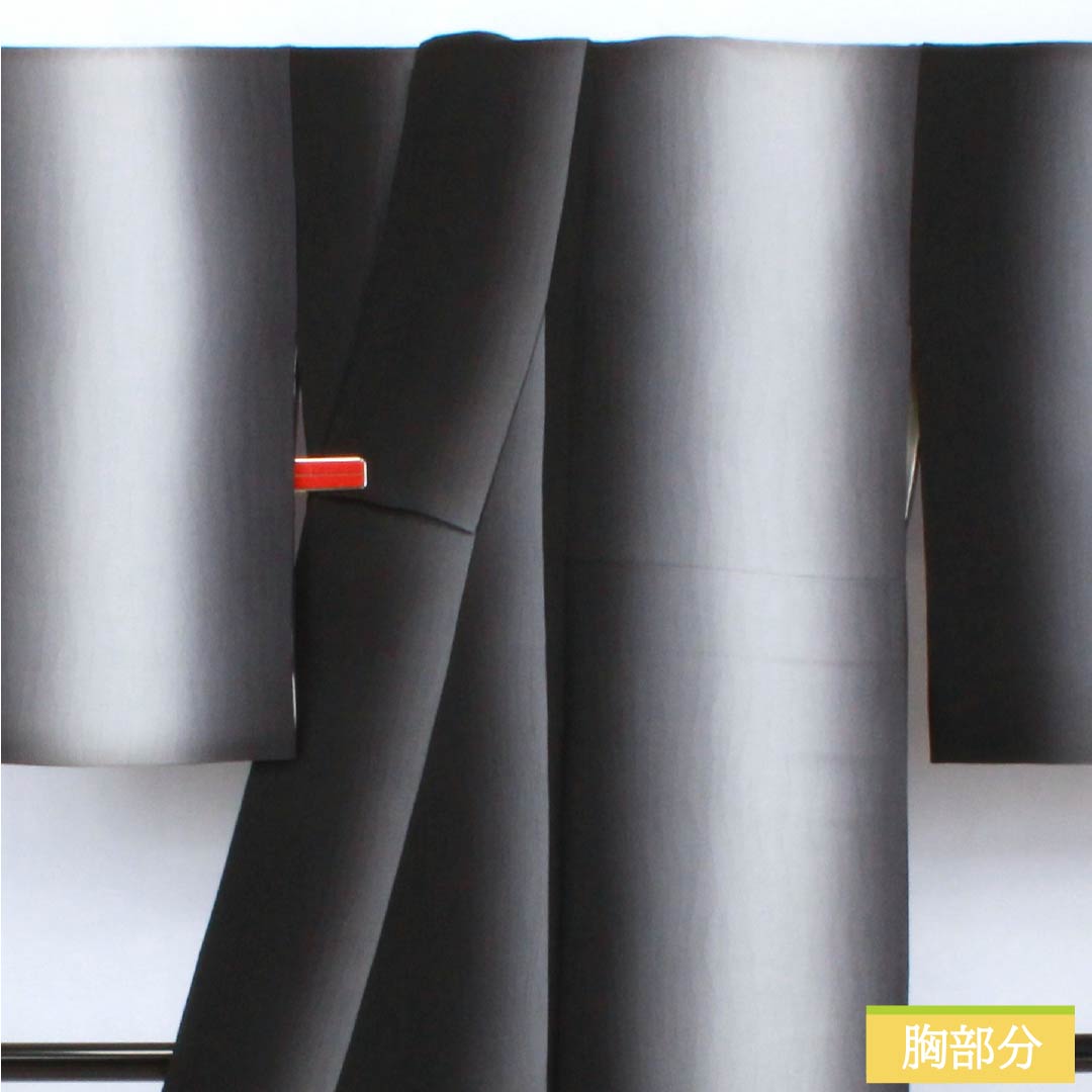 Komon (small pattern) pure silk, A-rank, length 149cm, sleeve length 64cm, lined, vertical shading, silk guard, monotone, product number 1115007233127