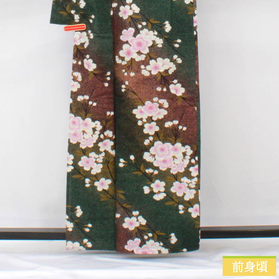 浴衣 木綿 身丈162cm 裄丈68cm Bランク 単衣 グラデーション系 萌葱色(もえぎいろ) 長春色(ちょうしゅんいろ) 桜 1118005984499