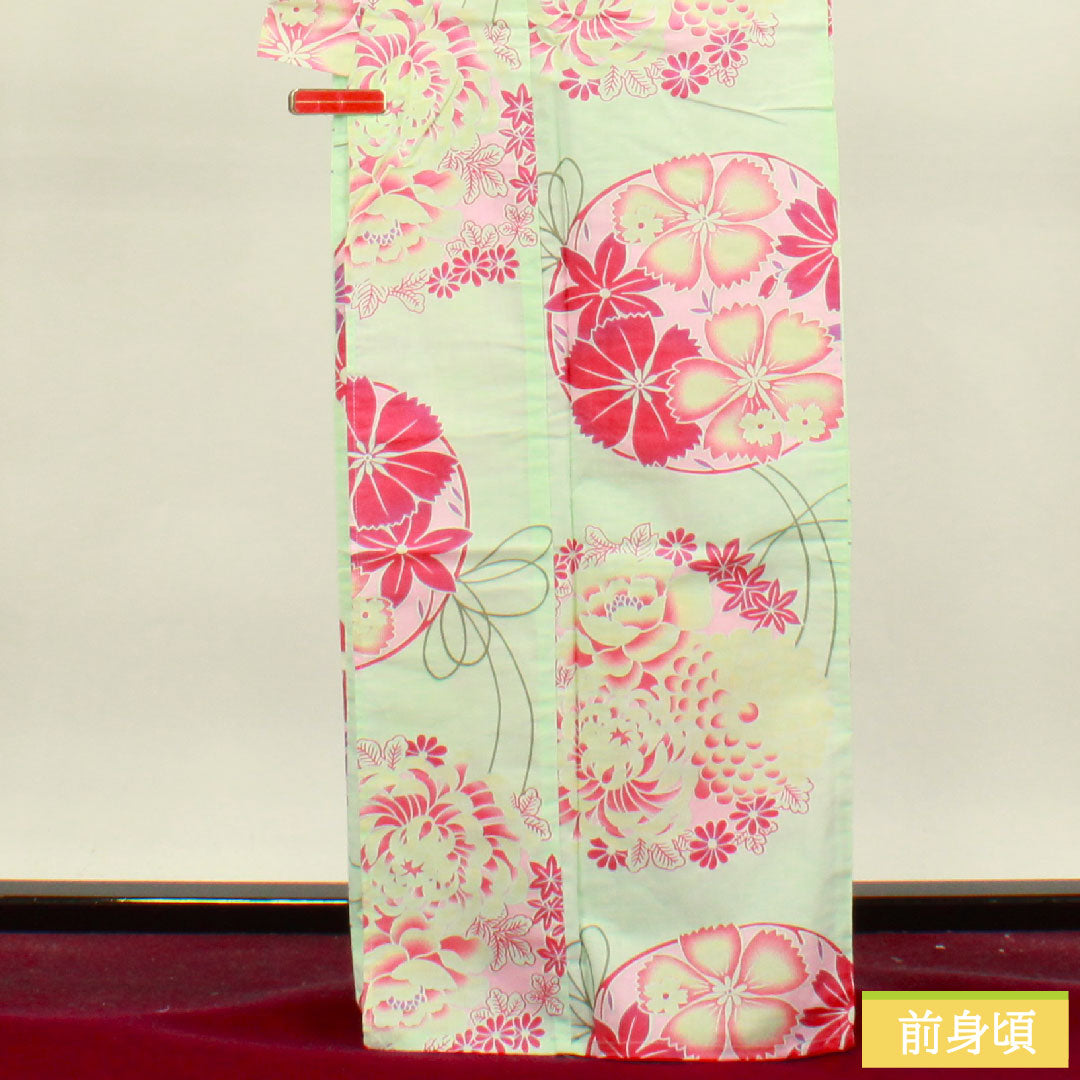 浴衣 木綿 身丈166.5cm 裄丈66cm Sランク 単衣 緑系 白緑色(びゃくろくいろ) 菊 撫子 1118004712519