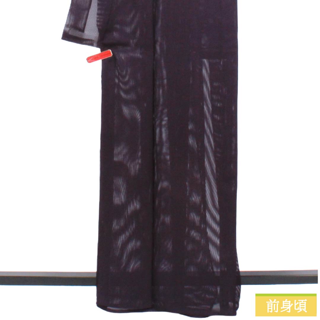夏物 ポリエステル 色無地 Sランク 身丈164cm 裄丈64.5cm 紫黒色(しこくしょく) 洗える着物 素無地 絽 紫系 1132004192420