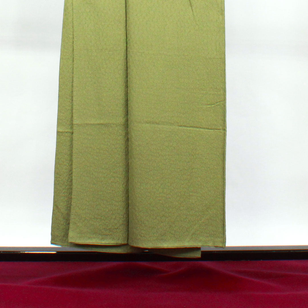 色無地 正絹 緑衫色 木瓜菱 身丈151cm 裄丈65cm 袷 Aランク 緑系 1114000933219