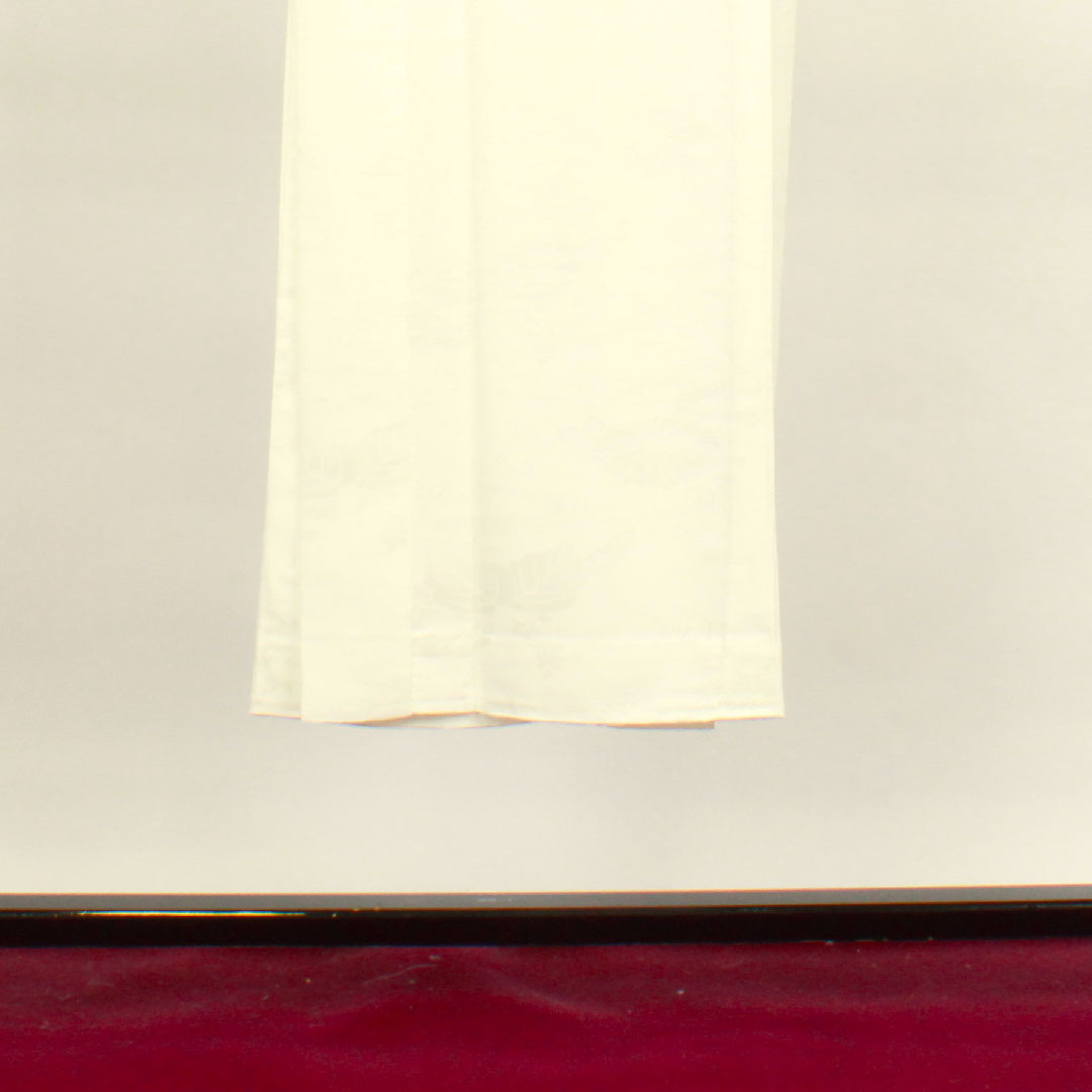 Long undergarment, pure silk, length 138cm, sleeve length 65cm, lined, formal, auspicious pattern, S rank, white, 1129000452511