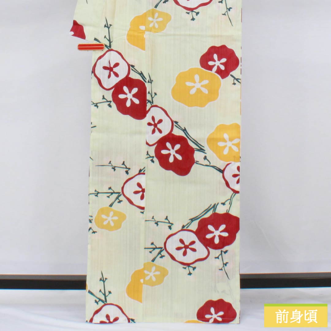 浴衣 木綿 身丈167cm 裄丈66.5cm Sランク 単衣 緑系 硫黄色(いおういろ) 花 utatane 1118006442519