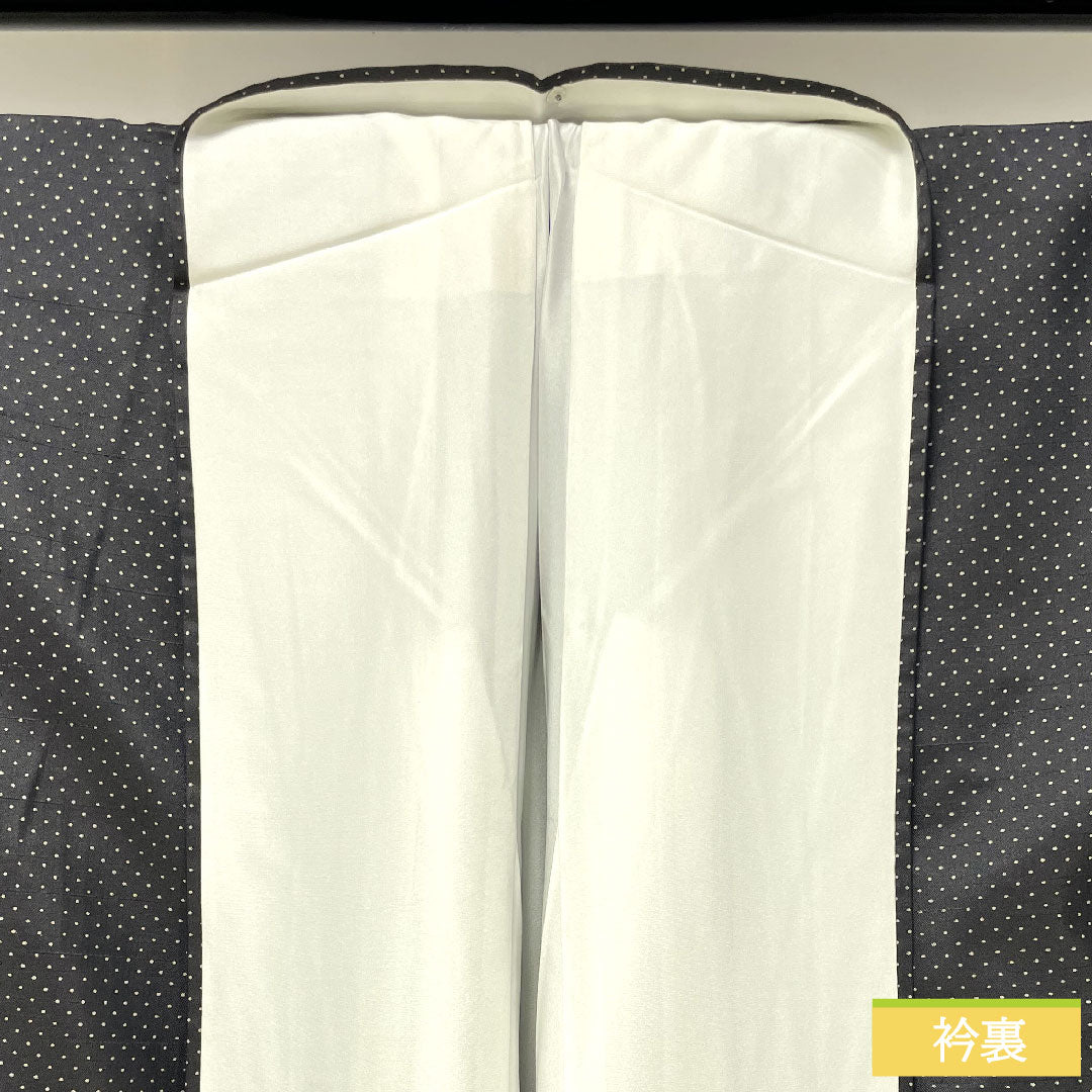 Homongi, pure silk, lined, length 164.5cm, sleeve length 63.5cm, Kyutaro Kawamura, Oshima Tsumugi, embroidery, Super Guard processing, S rank, gray, 1112004002422