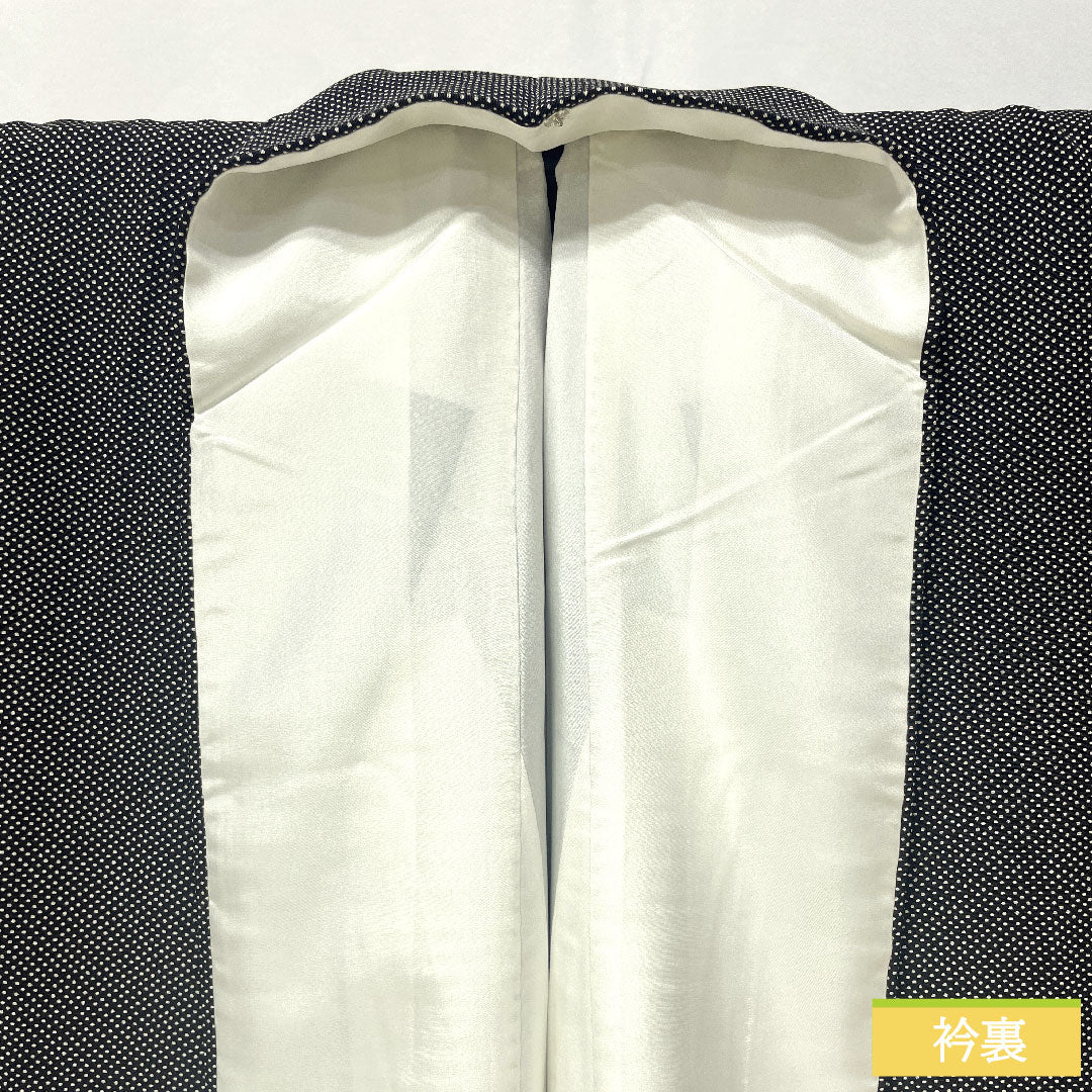 訪問着 正絹 袷 身丈161cm 裄丈64.5cm 行儀 抽象模様 しつけ糸付き 未使用品 Sランク 黒系 1112005122410