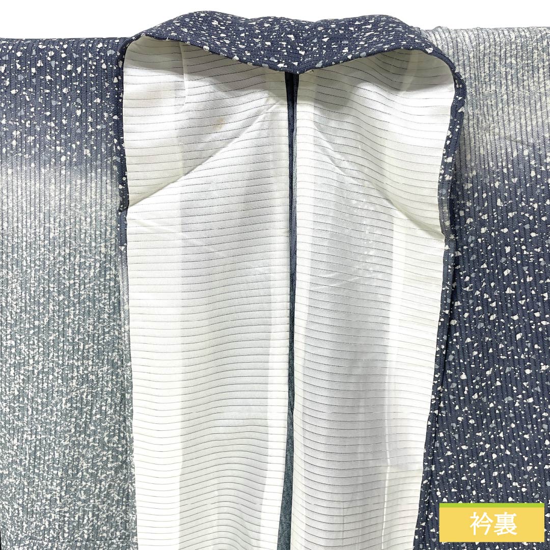 夏物 正絹 訪問着 Aランク 身丈161.5cm 裄丈66cm 浅葱鼠色(あさぎねずいろ) 竪絽 江戸小紋 タタキ染 絽 青系 1132005043417