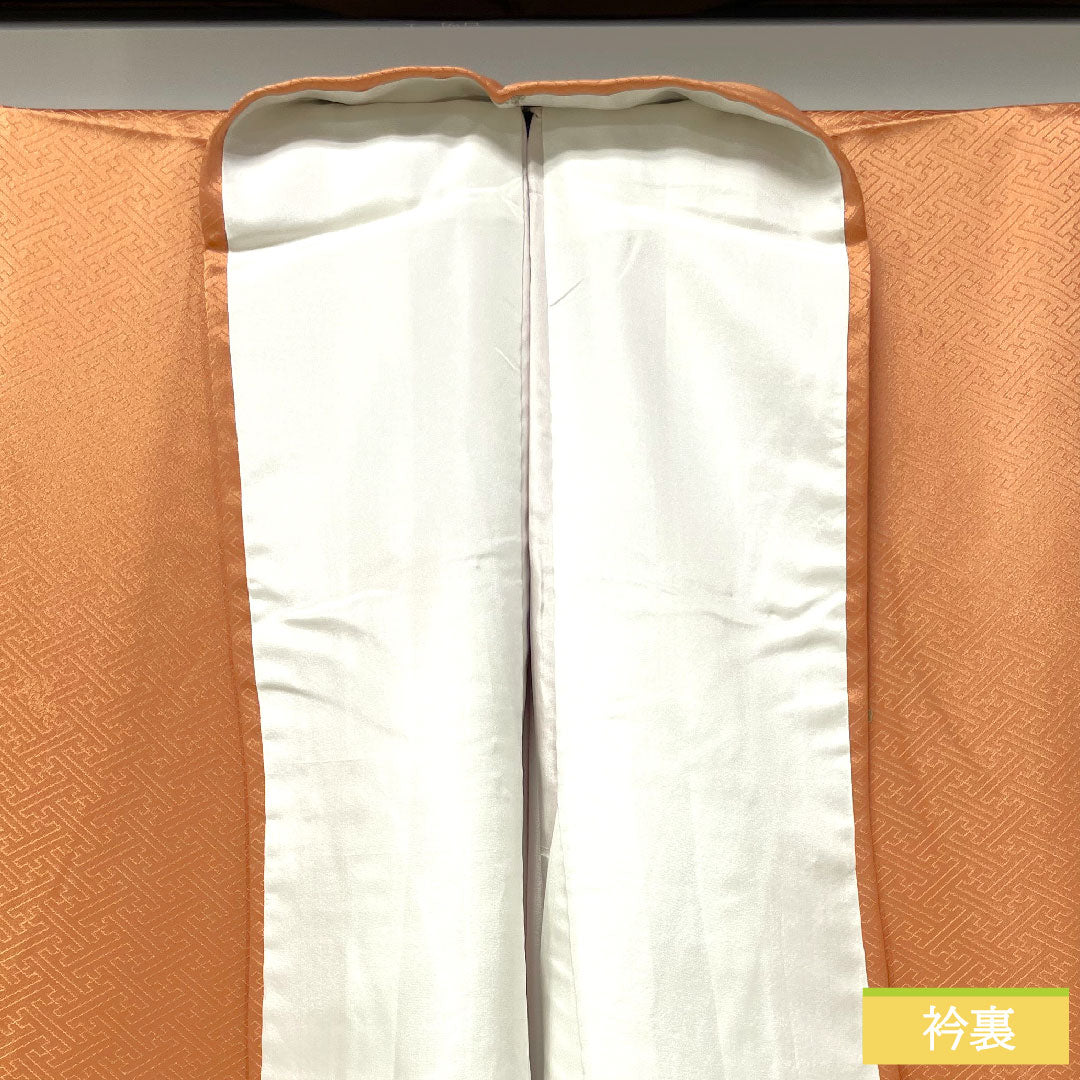 訪問着 正絹 袷 身丈165.5cm 裄丈66.5cm 朱華色(はねずいろ) 京友禅 吉祥文様 Aランク 橙系 1112004623526