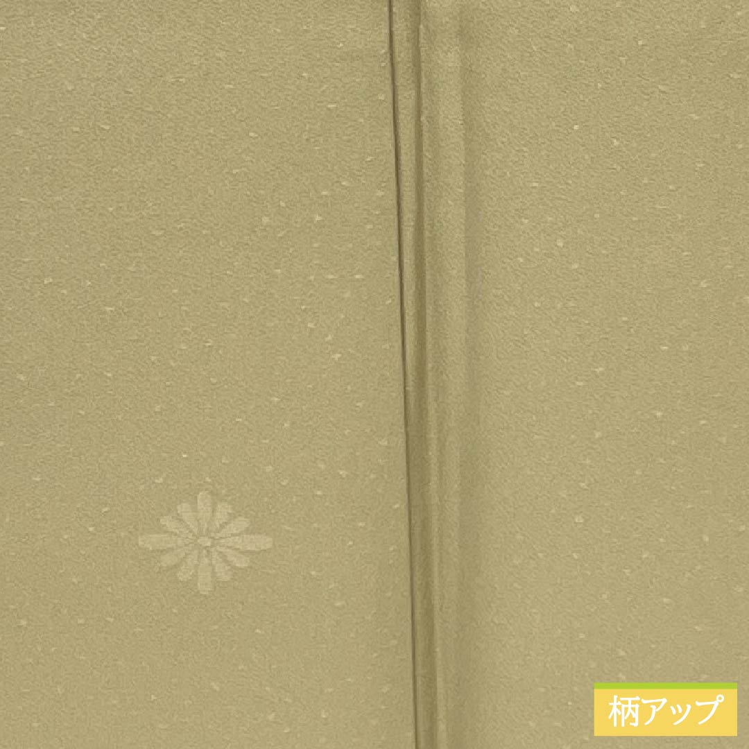 色無地 正絹 Aランク 身丈162cm 裄丈64cm 枯野色(かれのいろ) 綸子 菊 袷 ベージュ系 1114002253425