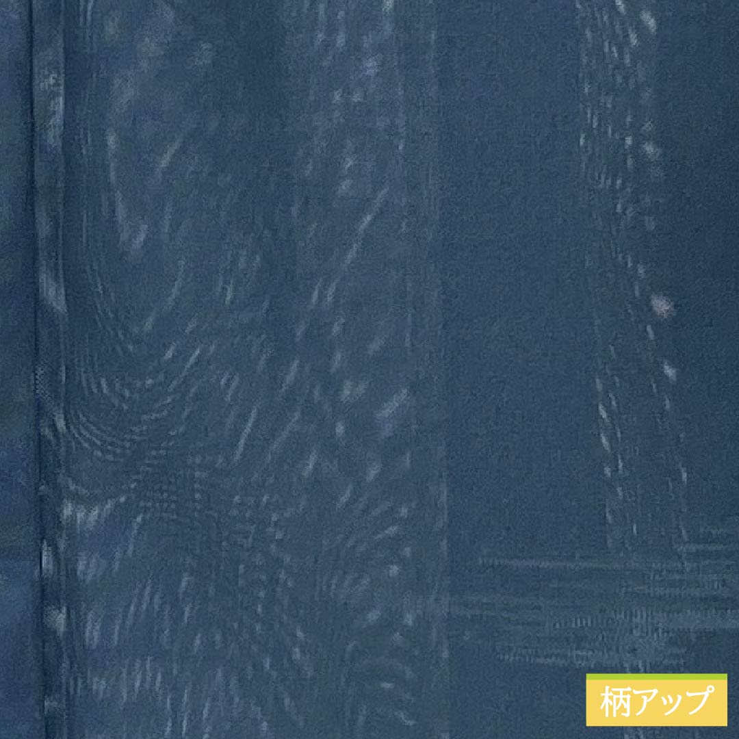 夏物 正絹 色無地 Sランク 身丈152.5cm 裄丈62.5cm 裏色(うらいろ) 霞模様 紗 青系 1132004362217