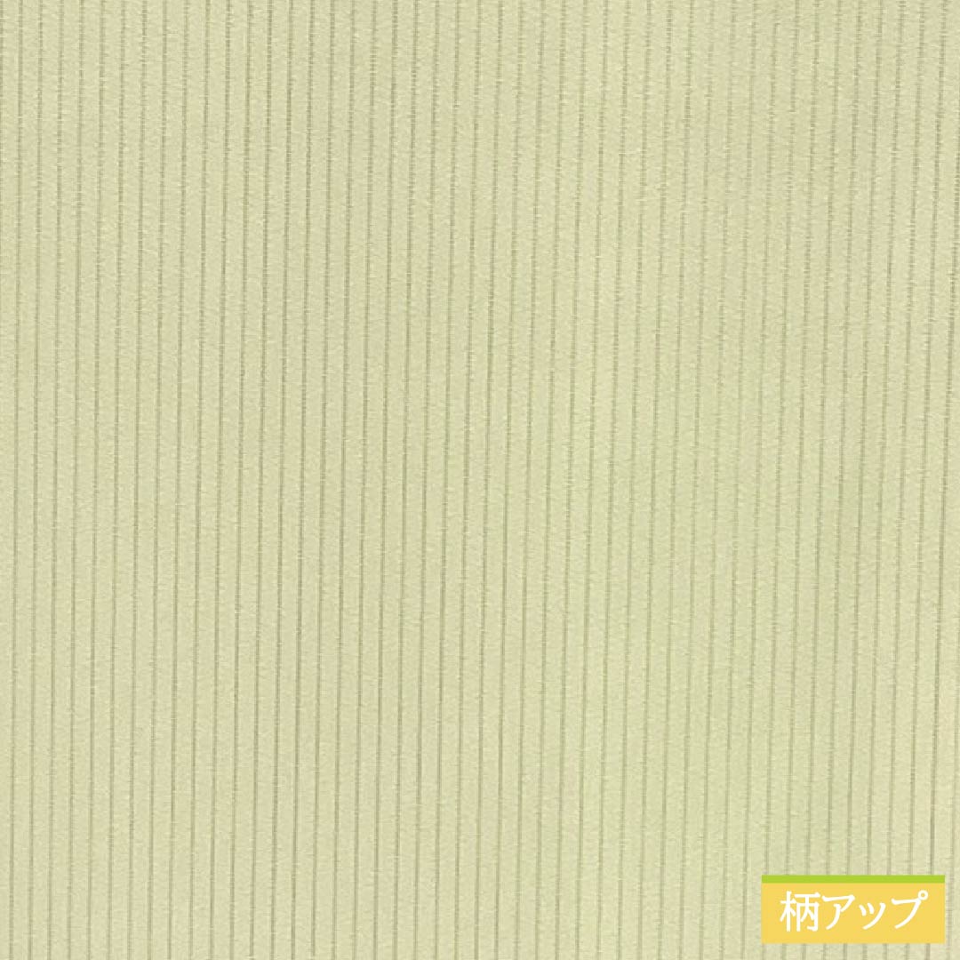 夏物 正絹 色無地 Sランク 身丈162cm 裄丈64.5cm 淡黄蘗色(うすきはだいろ) 竪絽 素無地 一つ紋 絽 黄系 1132003322423