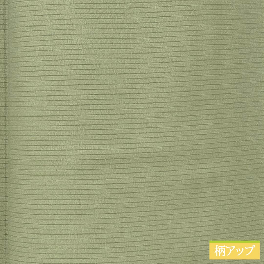 夏物 正絹 色無地 Sランク 身丈157cm 裄丈63.5cm 裏柳色(うらやなぎいろ) 素無地 絽 緑系 1132003982319