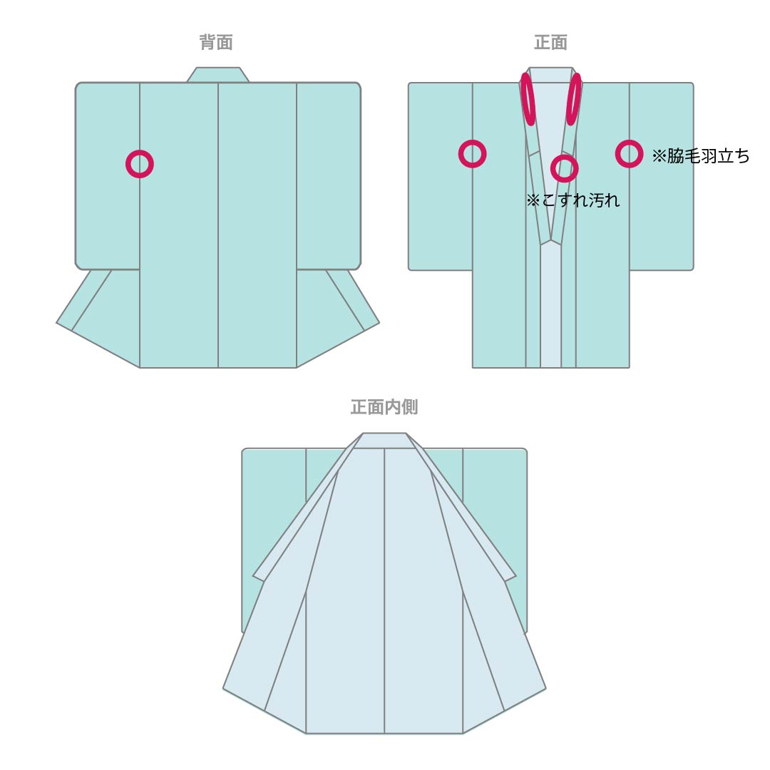 夏物 ポリエステル 小紋 身丈158cm 裄丈63cm 紫烏色(しうしょく) 露芝 草花 洗える着物 絽 Bランク 紫系 1132002044320