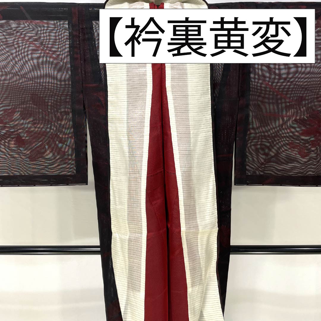 夏物 正絹 お召 Bランク 身丈155.5cm 裄丈62.5cm 暗紅色(あんこうしょく) 露芝 草花模様 紗 赤系 1132004264312