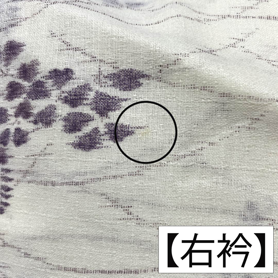 夏物 麻 紬 身丈165cm 裄丈69cm 乳白色(にゅうはくしょく) 小千谷縮 草花模様 紗 Aランク 白系 1132002683511