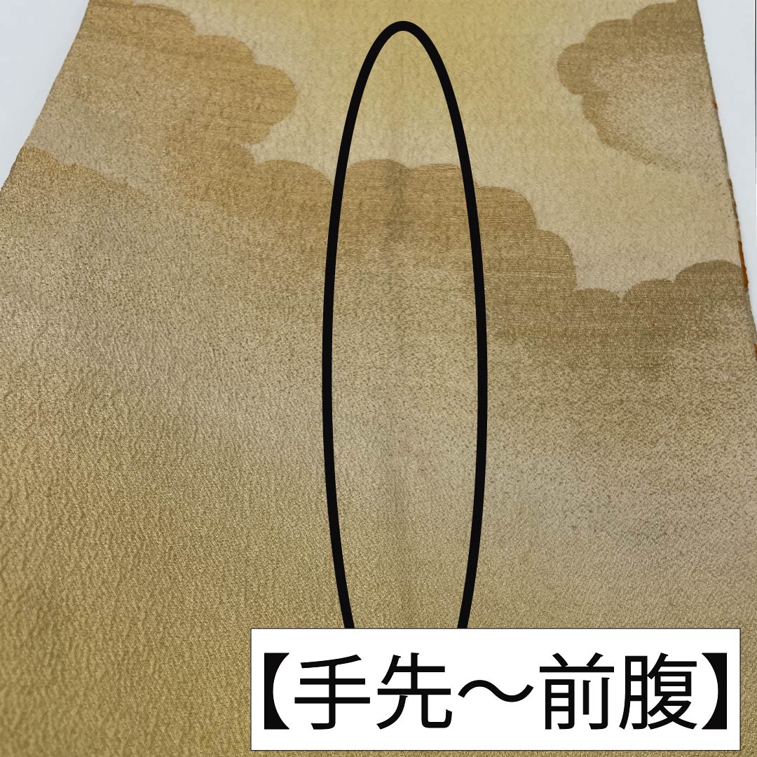 (Maru obi) Fukuro obi, pure silk, Torinoko color, Maru obi, antique, embroidery, obi length 410cm, A rank, point pattern, formal, beige, 1123013863325
