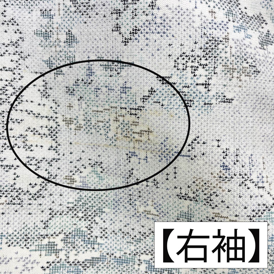 紬 正絹 Aランク 身丈157cm 裄丈62.5cm 白大島 9マルキ 汕頭刺繡 風景模様 袷 白系 1116005253311
