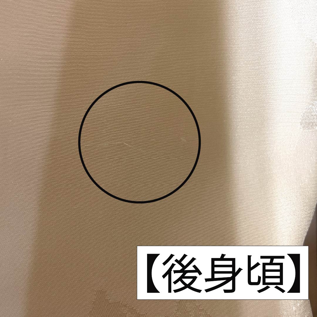 長襦袢 正絹 Sランク 身丈121cm 裄丈63.5cm 単衣 乙女色(おとめいろ) 吉祥文様 ピンク系 1129000792213