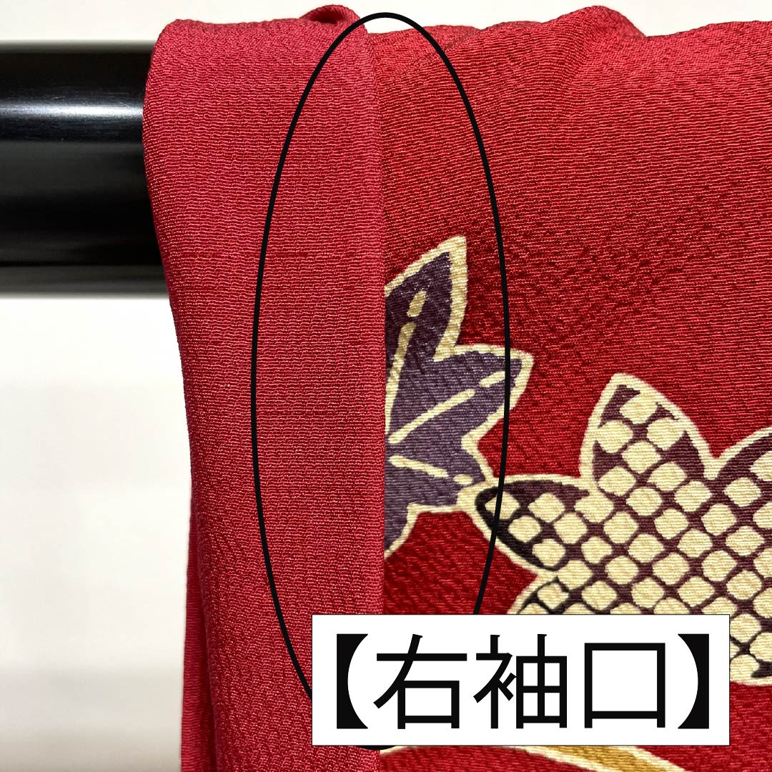 振袖 正絹 Aランク 身丈158.5cm 裄丈67cm 袷 紅赤色(べにあかいろ) 京紅型 吉祥文様 蝶 菖蒲 橘 赤系 1113002283312