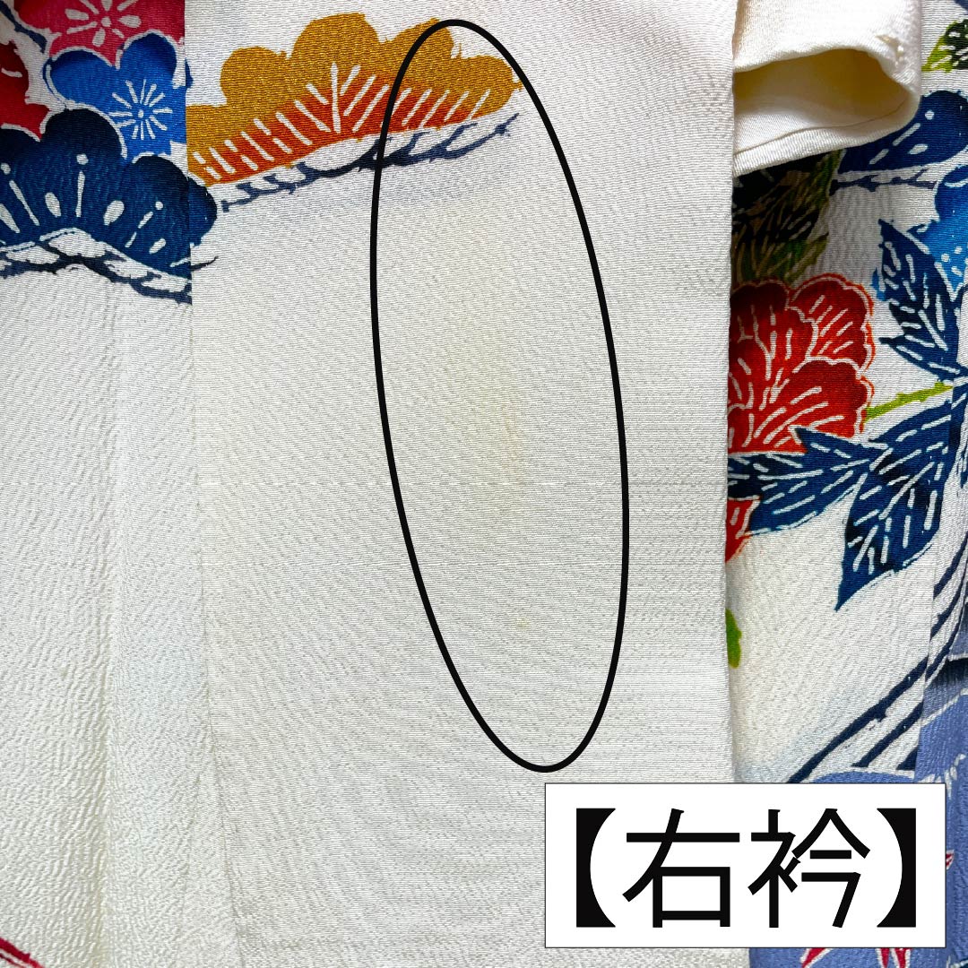 振袖 正絹 Bランク 身丈148.5cm 裄丈62cm 袷 生成り色(きなりいろ) 京紅型 吉祥文様 白系 1113002644111