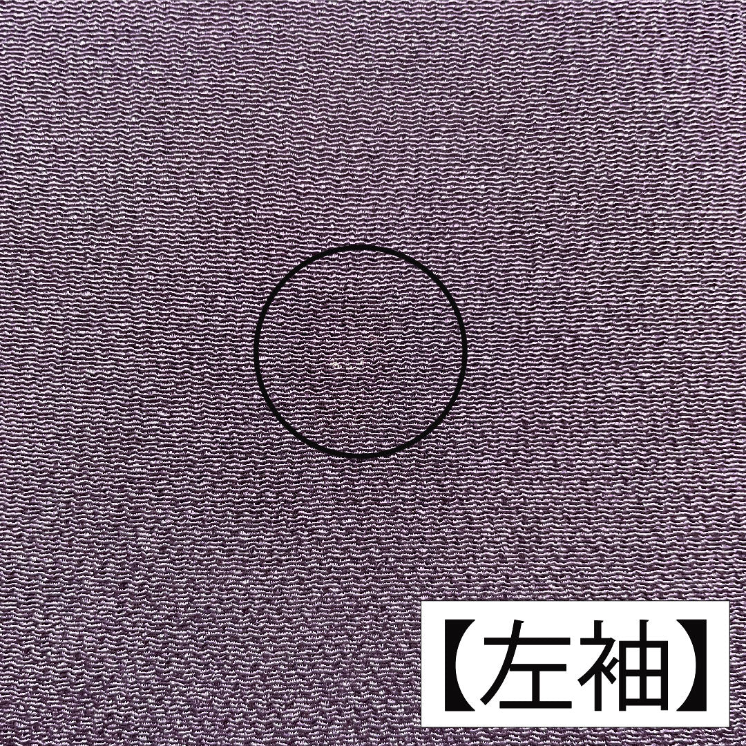 訪問着 正絹 袷 身丈154cm 裄丈62.5cm 茄子紺色(なすこんいろ) 京友禅 ちりめん地 吉祥文様 Aランク 紫系 1112005463220