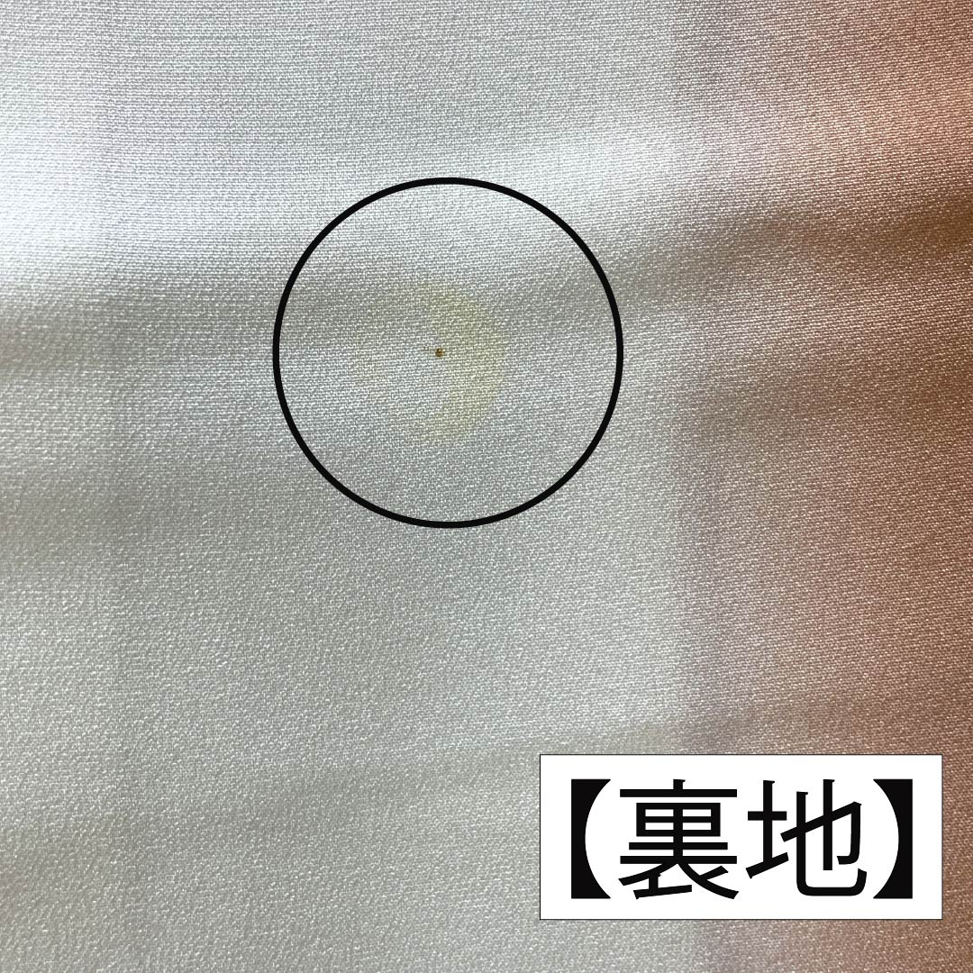 小紋 正絹 Sランク 身丈154.5cm 裄丈63cm 袷 紅海老茶色(べにえびちゃいろ) 江戸小紋 茶系 1115007272214