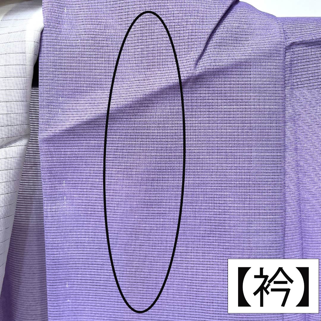 夏物 ポリエステル 訪問着 Bランク 身丈155.5cm 裄丈63cm 紫苑色(しおんいろ) 付下げ 鯉 流水 絽 紫系 1132004474320