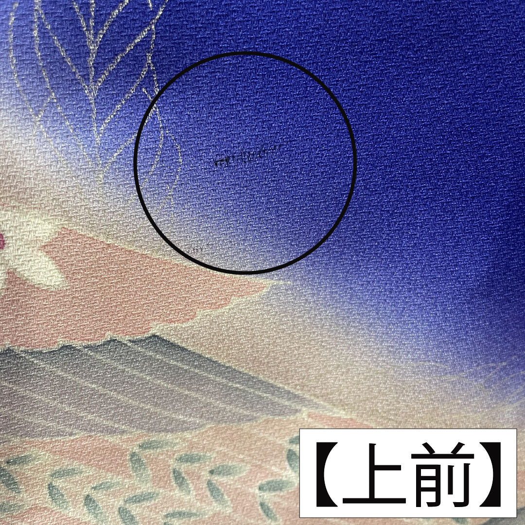 訪問着 正絹 袷 身丈161cm 裄丈65.5cm 桔梗色(ききょういろ) 京友禅 孔雀 Aランク 紺系 1112004353418