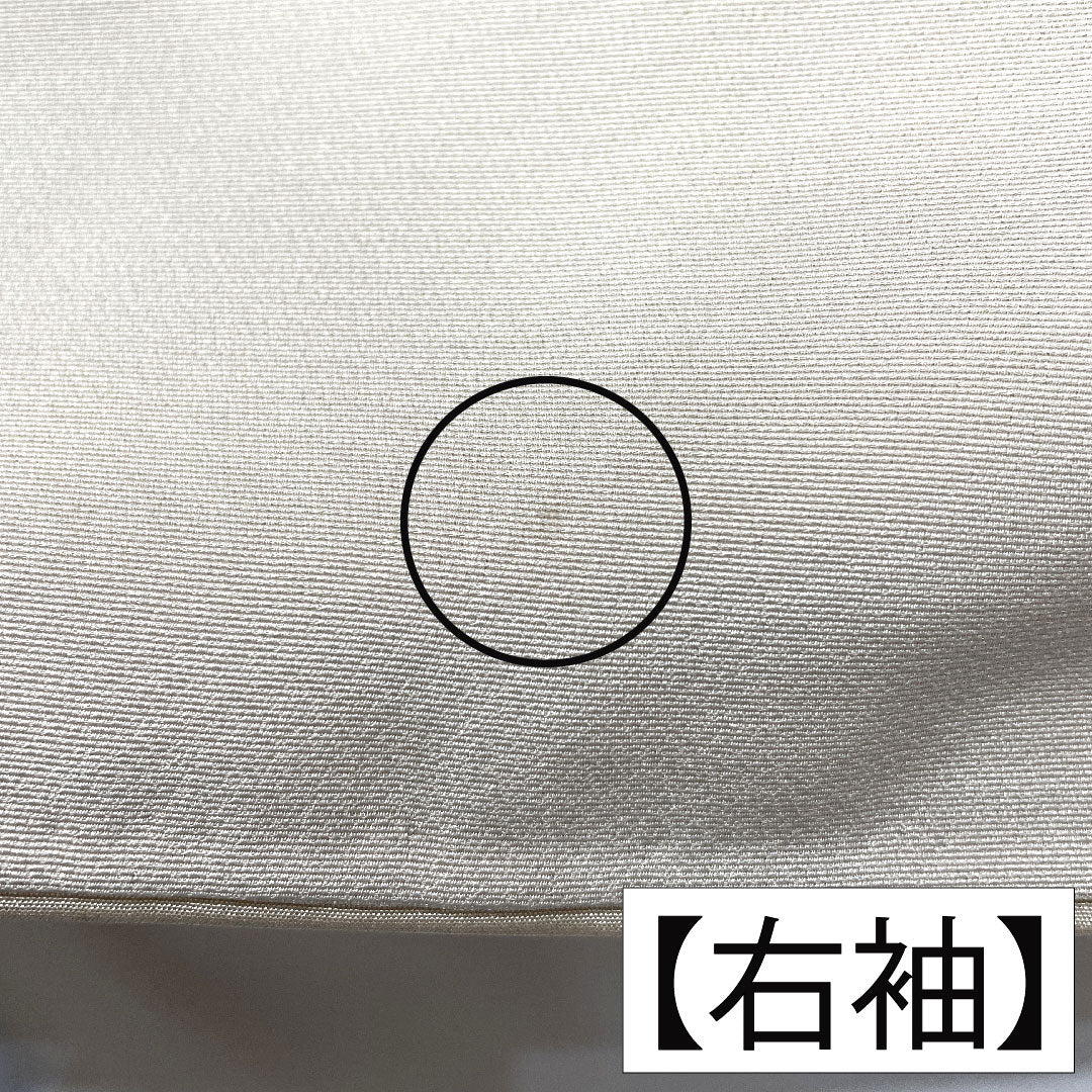 訪問着 正絹 袷 身丈167.5cm 裄丈66.5cm 生成り色(きなりいろ) 京友禅 吉祥文様 付下げ Aランク グレー系 1112005703522
