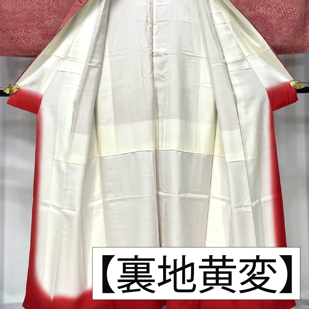 小紋 正絹 Aランク 身丈149.5cm 裄丈60cm 袷 柘榴色(ざくろいろ) 江戸小紋 裂取り 赤系 1115006943112