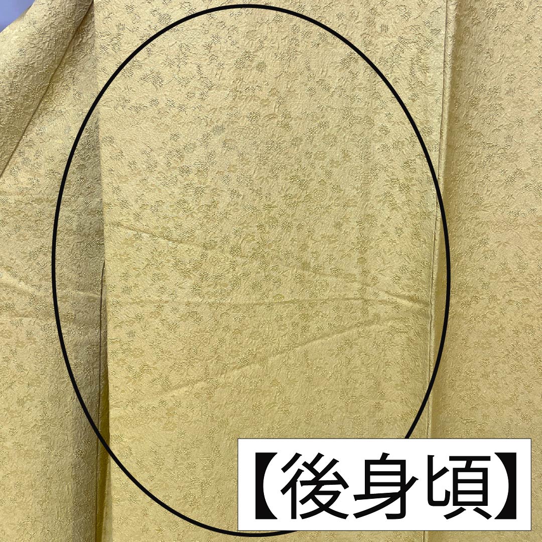 Solid-colored silk kimono, S-rank, length 164cm, sleeve length 64.5cm, pear-colored, with floral and plant motifs, lined, yellow-based, product number 1114002242423