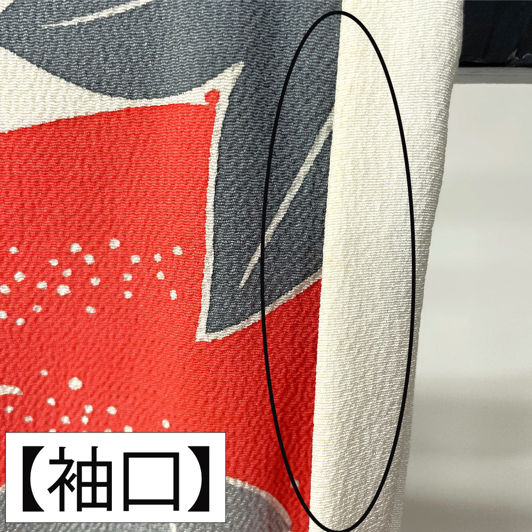 Furisode, pure silk, length 167.5cm, sleeve length 69cm, lined, Kyoto Bingata, auspicious motif, Hajik processing, A rank, white, 1113002103511