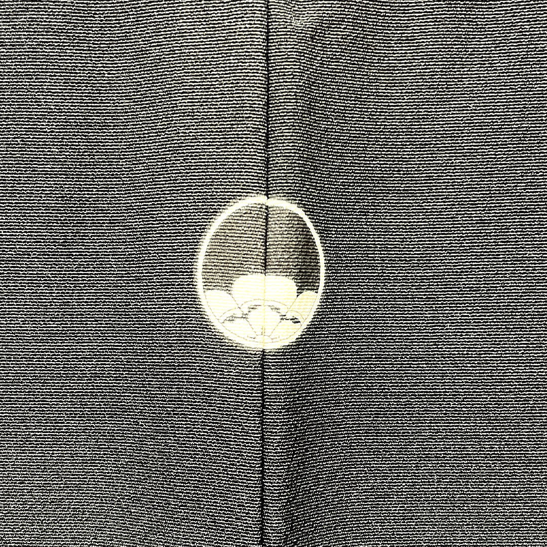 Black Tomesode, Length 154.5cm, Sleeve Length 62cm, Awase, Kyoto Yuzen, Landscape Pattern, Thread Ring and Peeking Mokko, Pure Silk, A Rank, Five Crests, Black, 1111000883210