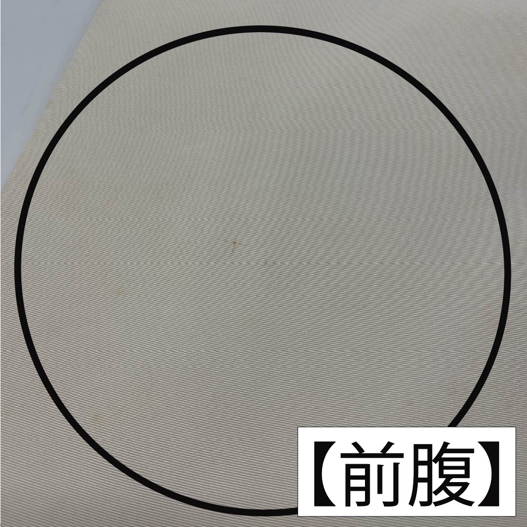 Nagoya obi, off-white (kinari-iro), dyed obi, artist's work, hydrangea, obi length 345cm, pure silk, A rank, point pattern, casual, cream color, 1124007003315, Nagoya tailoring