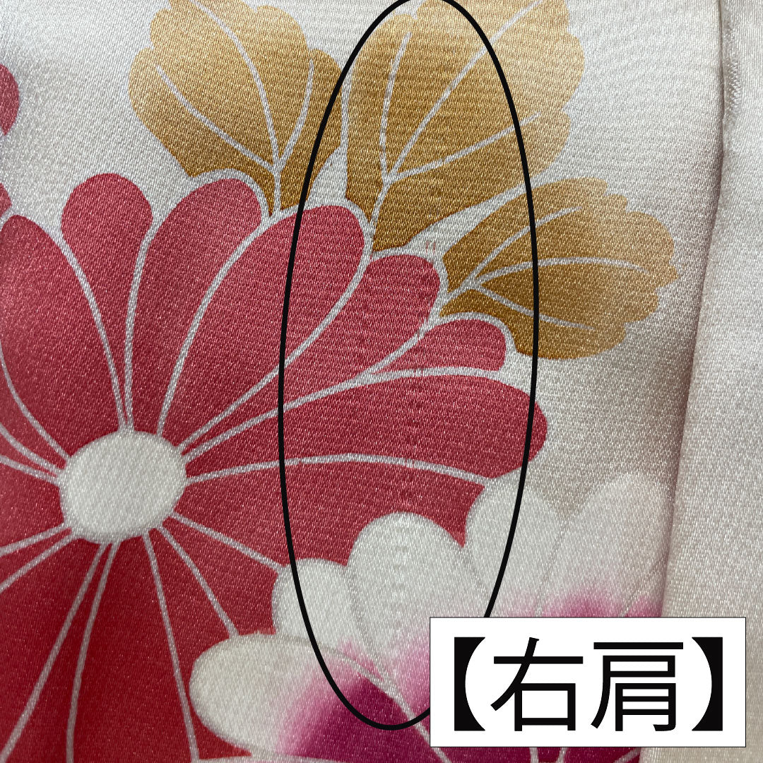 Iro-uchikake (colored kimono) made of pure silk, grade A, length 195cm, sleeve length 67.5cm, featuring a torii gate, chrysanthemums, and cherry blossoms, lined, cream-colored, product number 1110001013915
