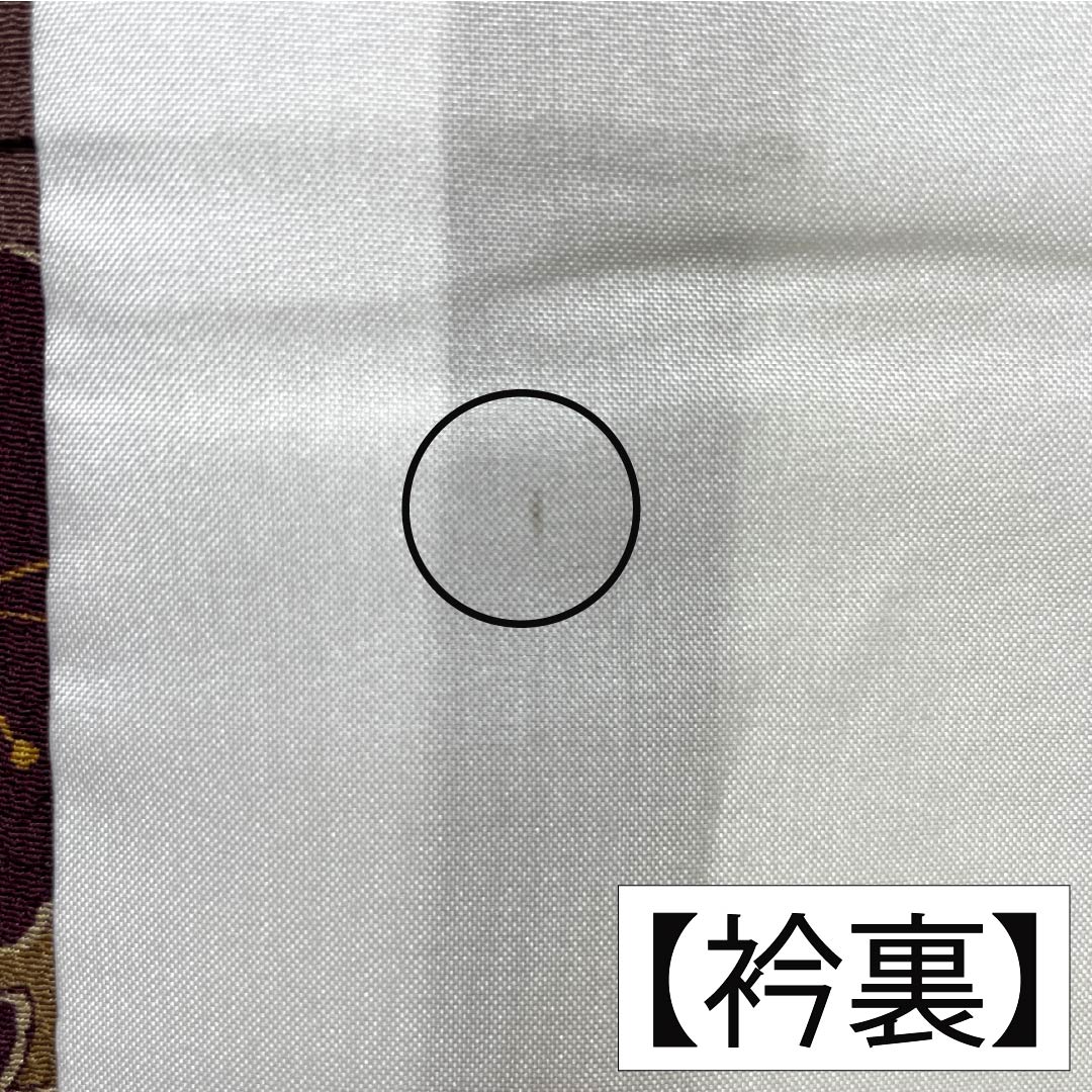 Small pattern, polyester, length 164.5cm, sleeve length 66.5cm, lined, hunting tiger brown (rakko brown), fukiyose, washable kimono, S rank, brown, 1115005802414
