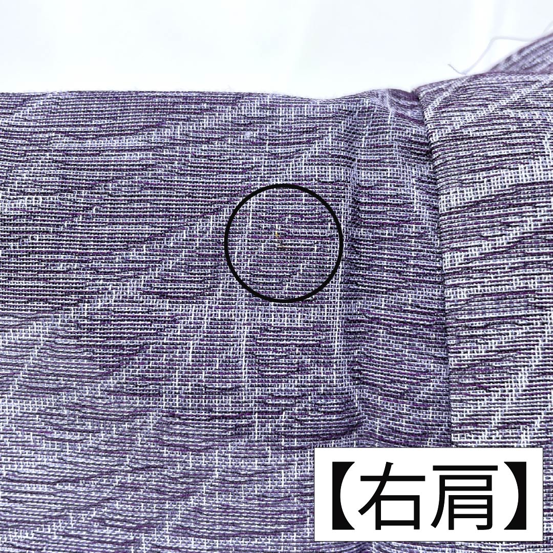 夏物 ポリエステル お召 Aランク 身丈158.5cm 裄丈63.5cm 二藍色(ふたあいいろ) ススキ 紗 紫系 1132004813320